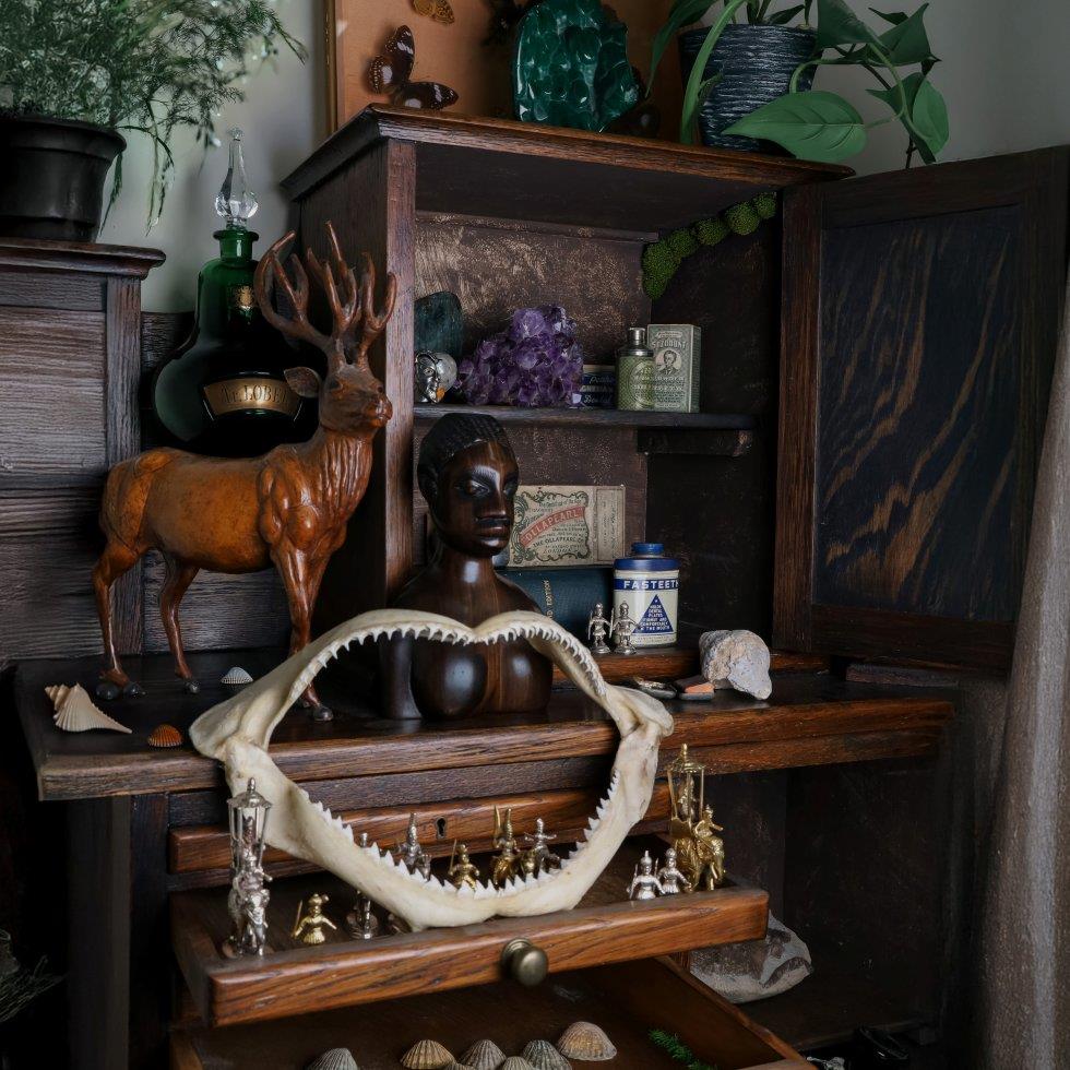 Nature, Culture & Curiosity on 16/04/2026