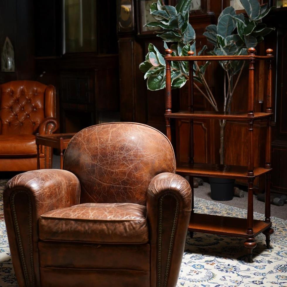 Furniture & Rugs on 24/09/2026