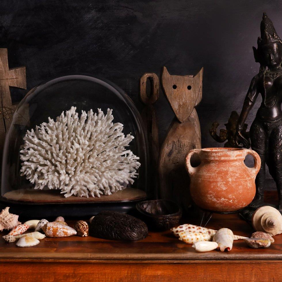 Nature, Culture & Curiosity on 08/10/2026