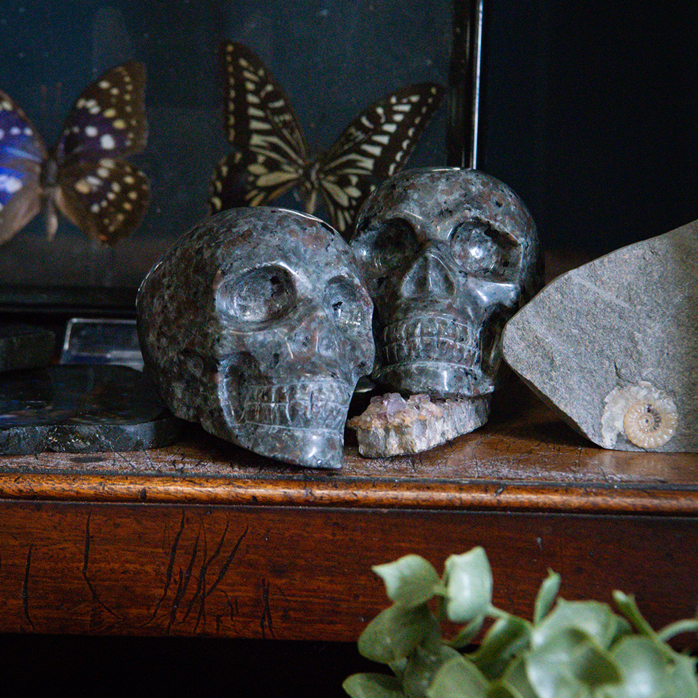 Nature, Culture & Curiosity on 08/10/2026