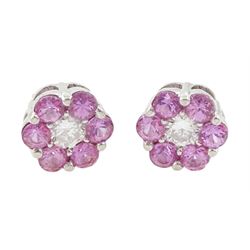 Pair of 18ct white gold round cut pink sapphire and round brilliant cut diamond stud earri...