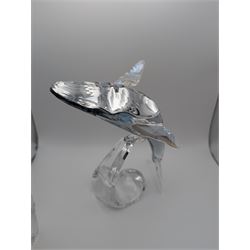 Swarovski Crystal humpback whale, Paikea, with crystal name plaque and a Swarovski Crystal penguin, whale H16cm