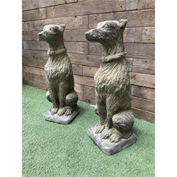 Pair of cast stone garden Deer Hounds, on square plinth bases - THIS LOT IS TO BE COLLECTED BY APPOINTMENT FROM DUGGLEBY STORAGE, GREAT HILL, EASTFIELD, SCARBOROUGH, YO11 3TX