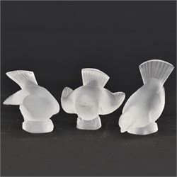 A set of three Lalique frosted glass models of birds, all engraved Lalique France, tallest example H9cm