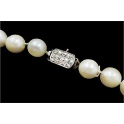 Single strand cream / white pearl necklace, with platinum old cut diamond clasp