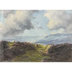 Lewis Creighton (British 1918-1996): Sheep amongst Heather, oil on board signed 35cm x 47cm 