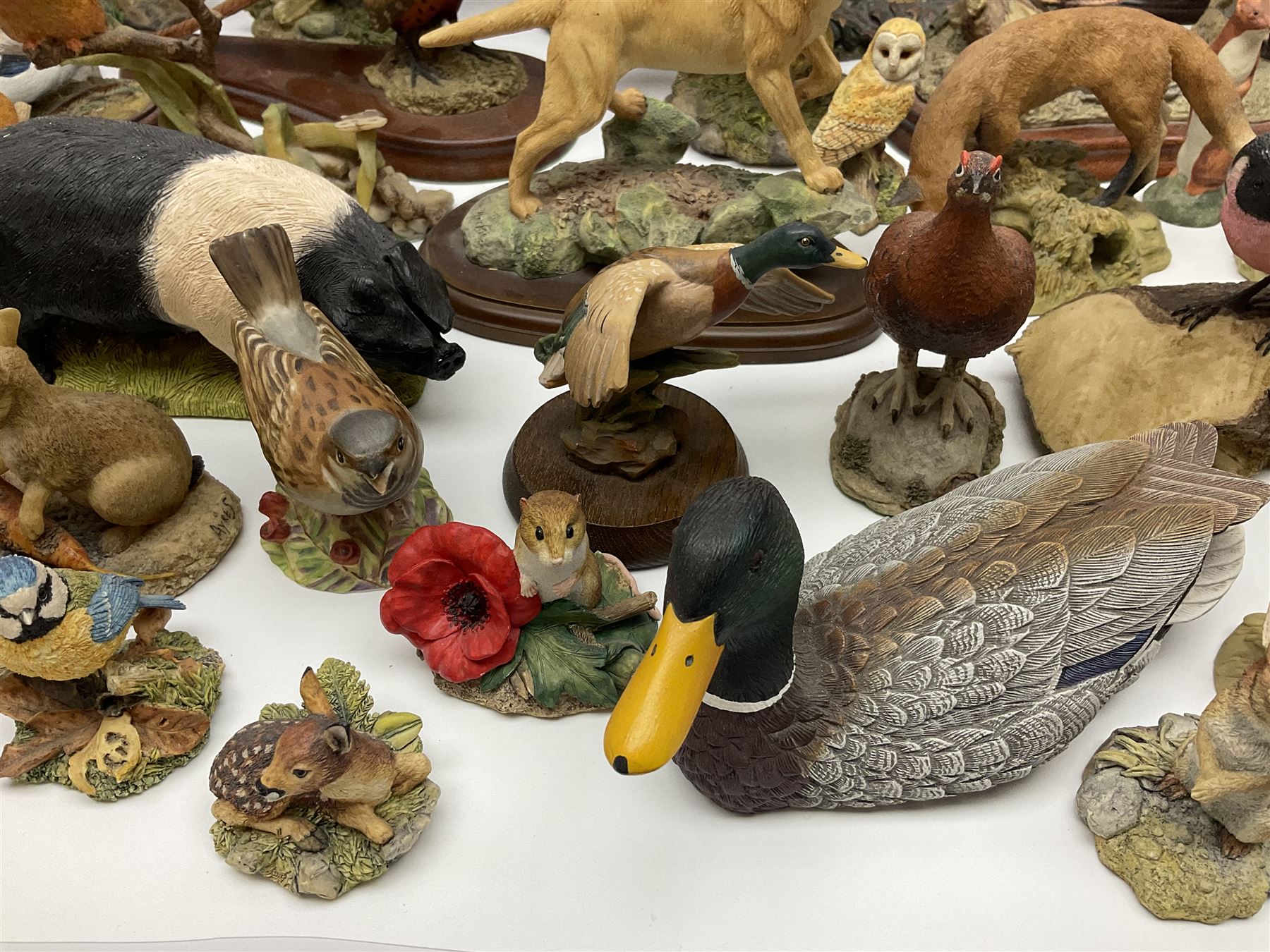 British wildlife, dogs and other animal figures, to include examples by Border Fine Arts, Teviotdale and David Hughes, etc