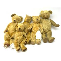 Five British teddy bears c1930s-50s including Pedigree bear H22