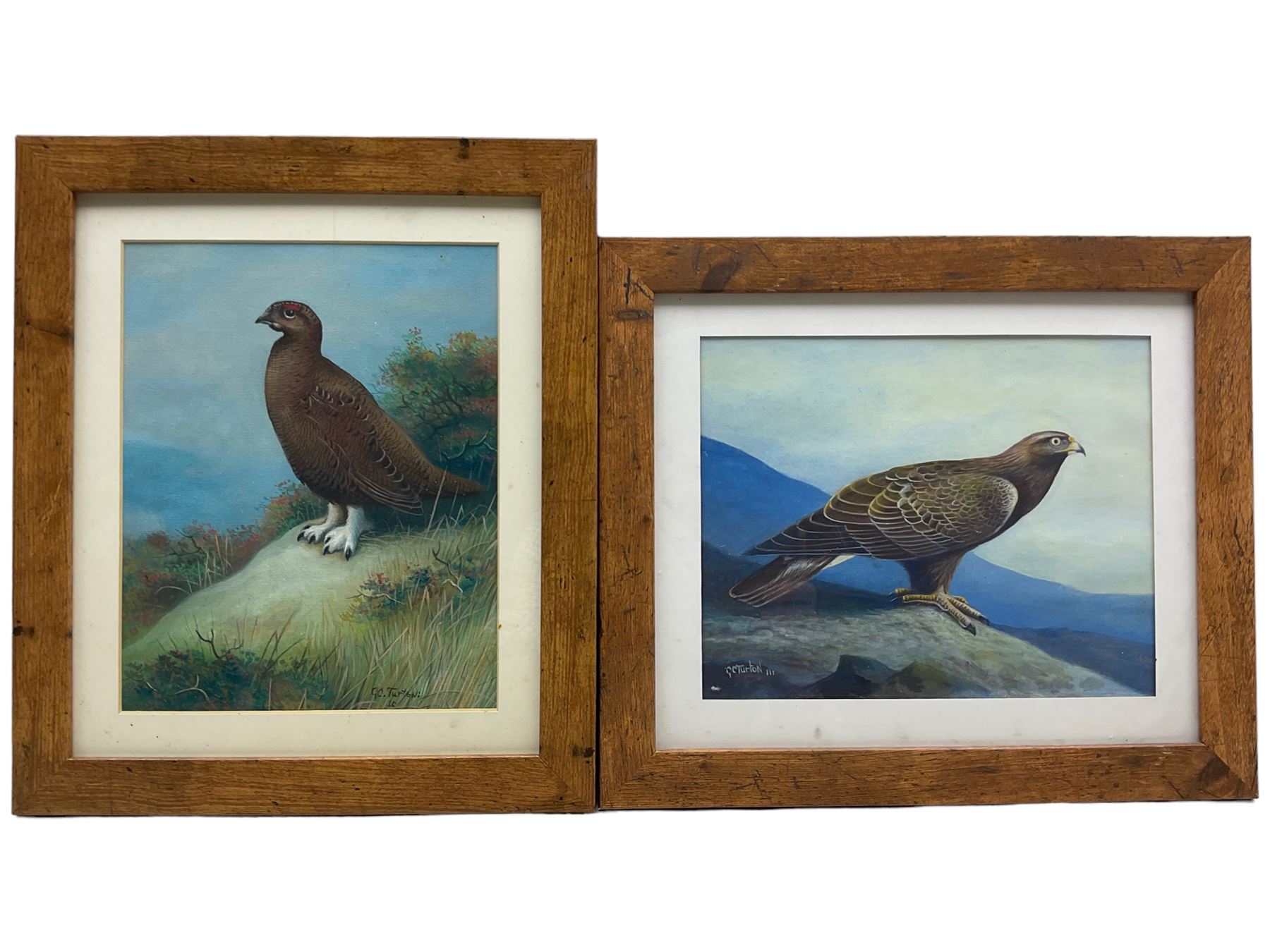 Gordon C Turton (British 1947-): Partridge and Eagle, two watercolours signed, dated '10 and '11, respectively, 25cm x 20cm (2)