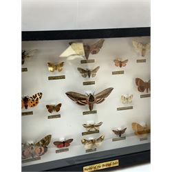 Entomology: Single glazed display of Moths of the British Isles, circa 20th century, single glazed display containing seventeen various specimens, including Privet Hawk moth, Eyed Hawk moth, Fox moth, some with attached data labels, all pinned upon foam backing and named labels, enclosed within a glazed ebonised display case, H28cm, L39cm