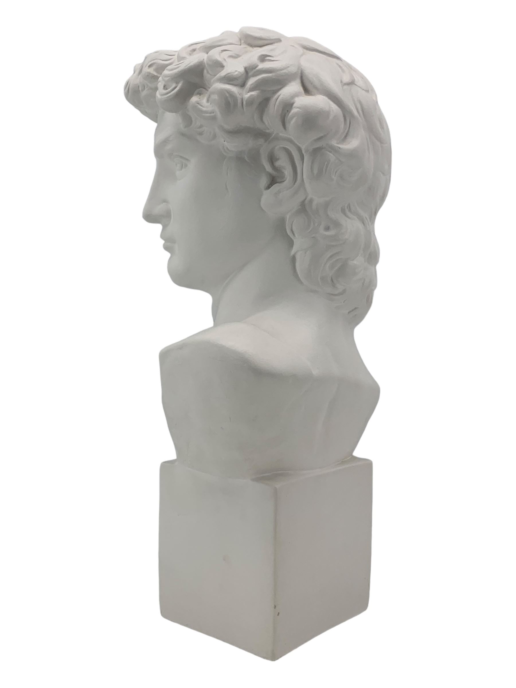 Large plaster bust depicting David, on integral square plinth, H61cm 