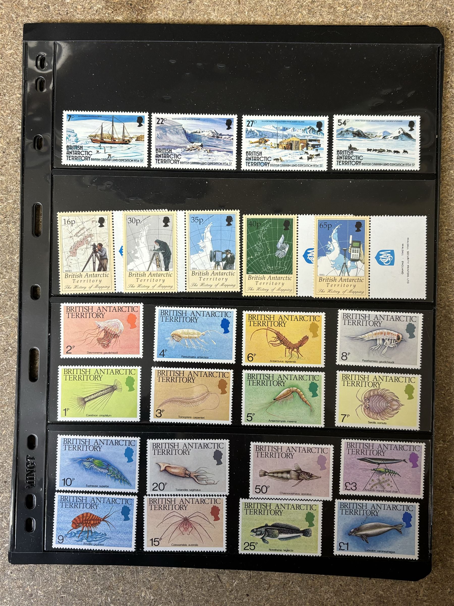 Queen Elizabeth II British Antarctic Territory mint stamps, including 1963-1969 SG 1 to 15a from half penny to both one pound values, 1993 SG 218-229 etc and a small number of Australian Antarctic Territory stamps, housed on stock pages