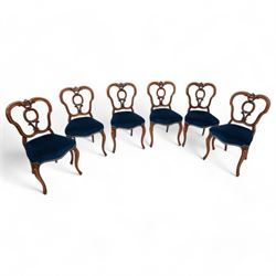 Set of six Victorian carved walnut dining chairs, shaped cresting rail over C-scroll splat back, upholstered in blue velvet, on cabriole supports 