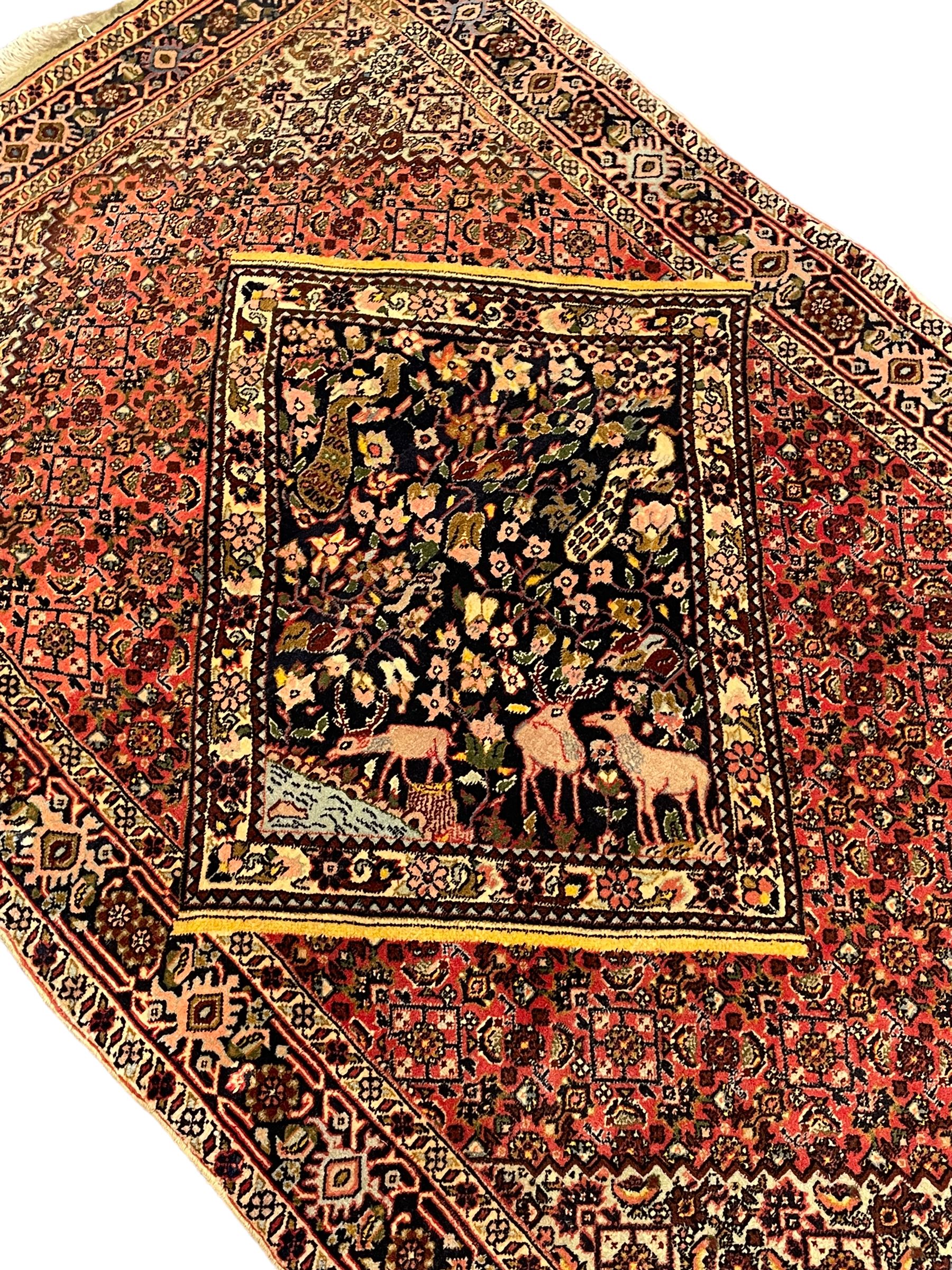 Persian Bidjar peach ground rug, the field decorated with repeating Herati motifs surrounding an off-centre lozenge medallion, decorated with grazing deer and peacock motids, the field border decorated with repeating stylised plant motifs, multiple floral design guard bands