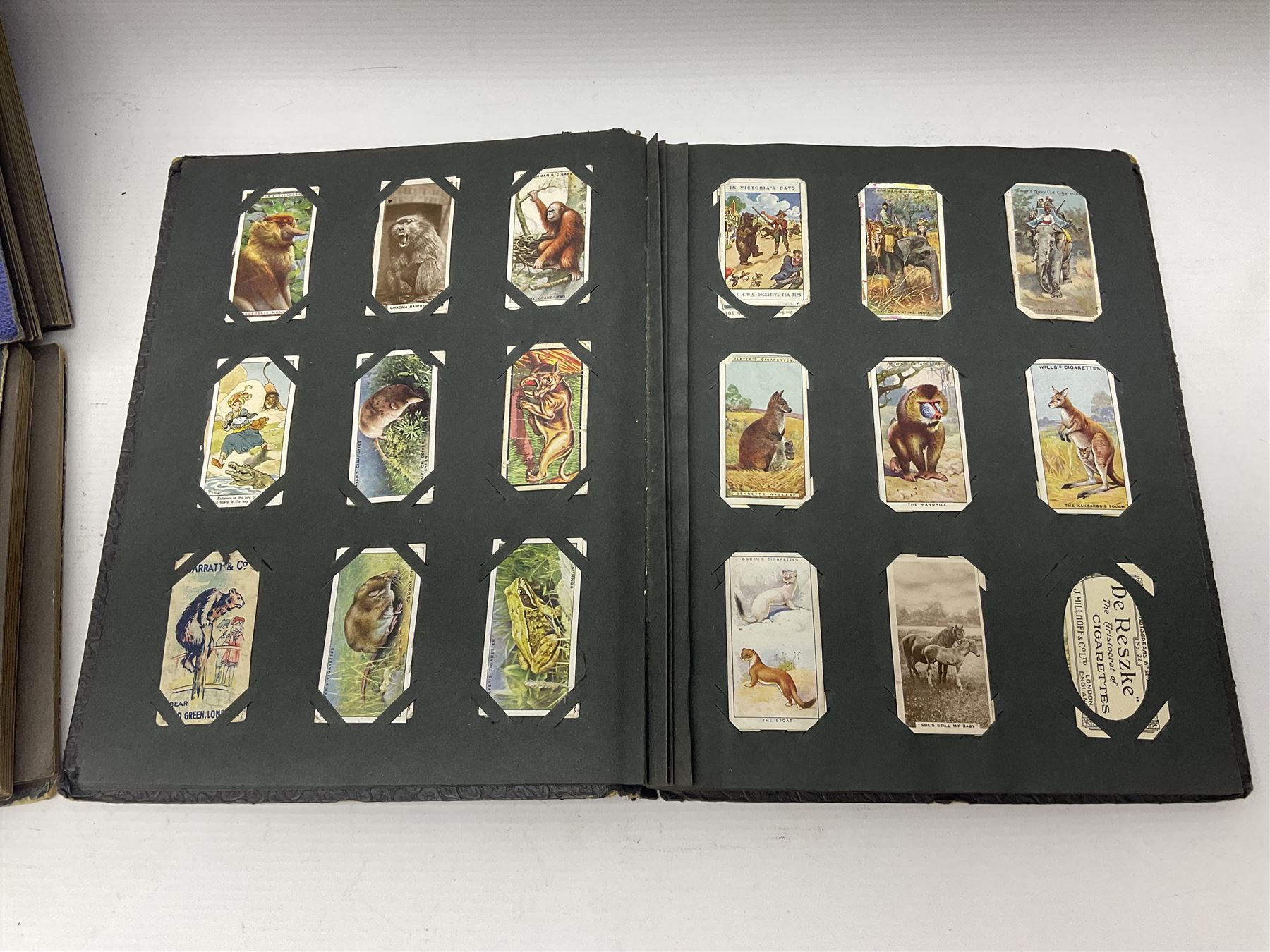 Four albums of cigarette cards, including Will's and Player's examples