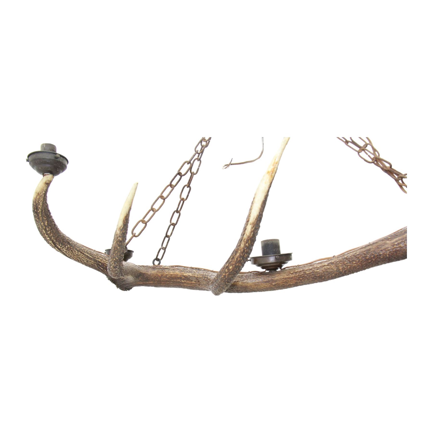 Single deer antler light fitting, with five fitted lights, L80cm