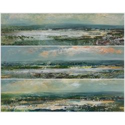 Peter Hodson (British Contemporary): Panoramic Ocean Views, three oils on board signed 12cm x 38cm (3)