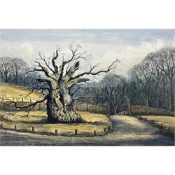 Jack Rigg (British 1927-2023): 'The Laund Oak' at Bolton Abbey, watercolour and ink signed inscribed and dated 1987, further inscribed verso 37cm x 55cm 
Notes: the Laund Oak was thought to be one of the oldest trees in England, being at least 700 years old but possibly older; it was sadly felled in a storm in January 2017.