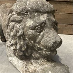 Pair of small cast stone garden recumbent lions