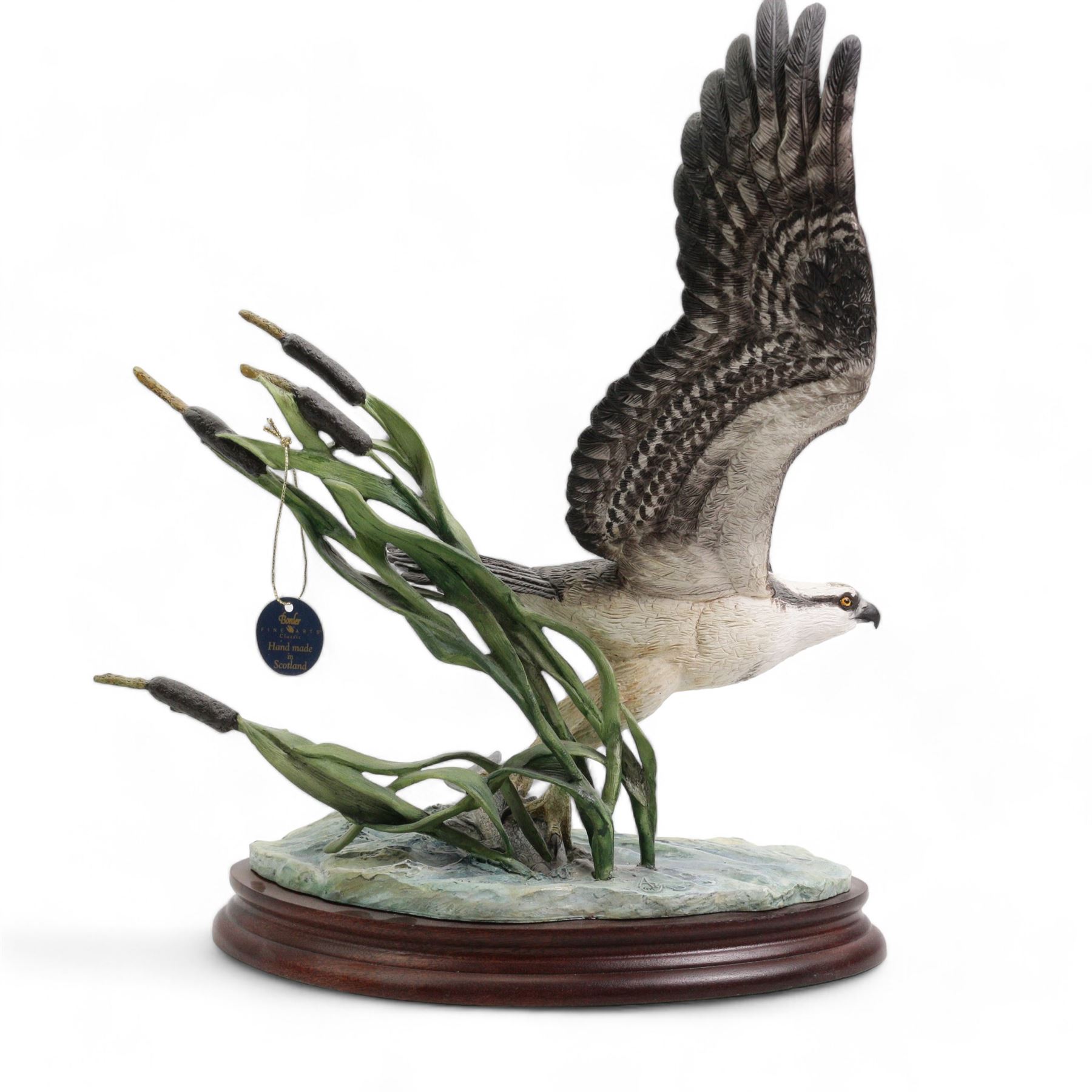 Border Fine Arts 'Osprey' by Ray Ayres, limited edition 217/500 on wood base, boxed and with certificate