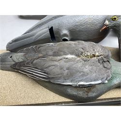 Fourteen Wood Pigeon decoys, together with camouflage netting