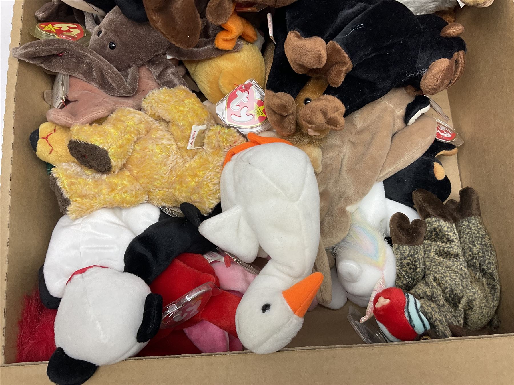 Fifty Ty Beanie babies, including Stinky, Lips, Ants, Zero, Spunky etc