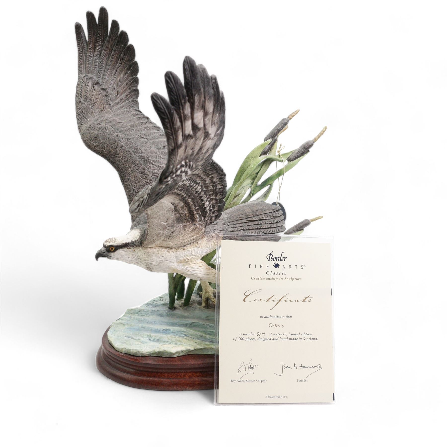 Border Fine Arts 'Osprey' by Ray Ayres, limited edition 217/500 on wood base, boxed and with certificate