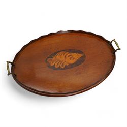 Edwardian mahogany oval tea tray with central conch shell inlay with a wavy gallery edge a...