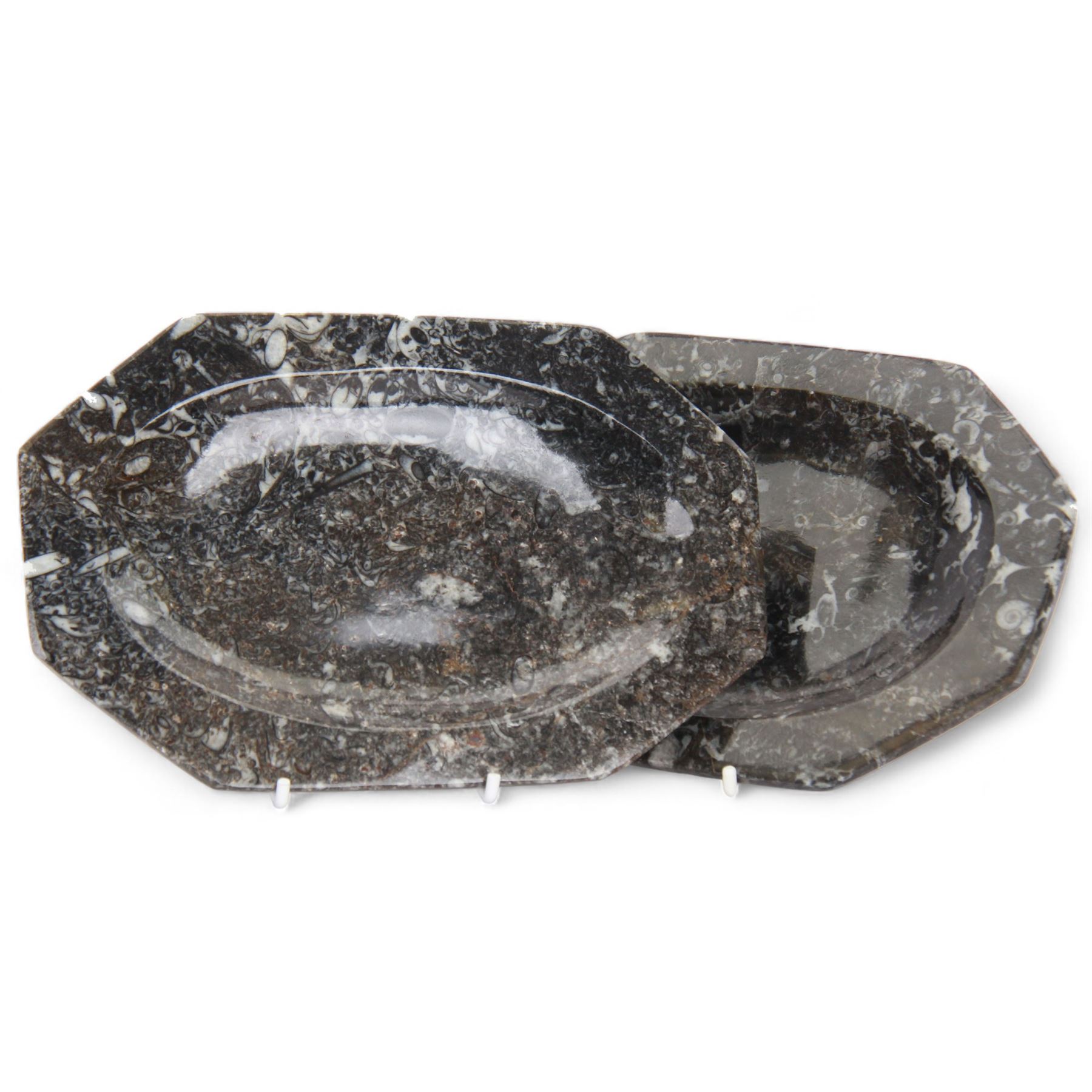 Pair of elongated octagonal dishes, each with goniatite inclusions, age: Devonian period, location: Morocco, L20cm