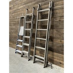 Werner four tread workstation and two other sets of ladders