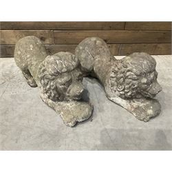 Pair of small cast stone garden recumbent lions