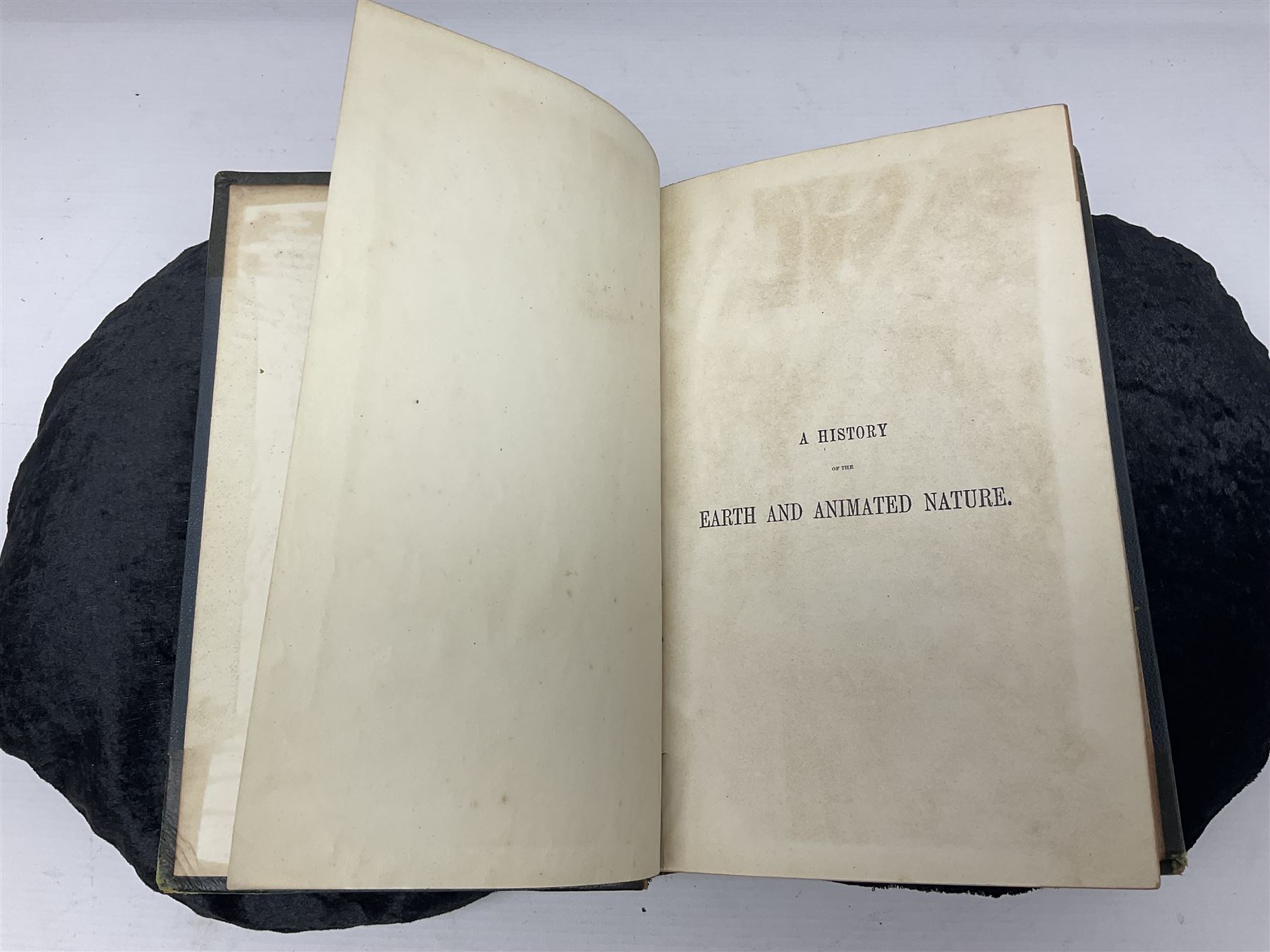 Oliver Goldsmith; Goldsmith’s Animal Nature A History of The Earth and Animated Nature, two volumes, A. Fullarton & Co London & Edinburgh, 1860