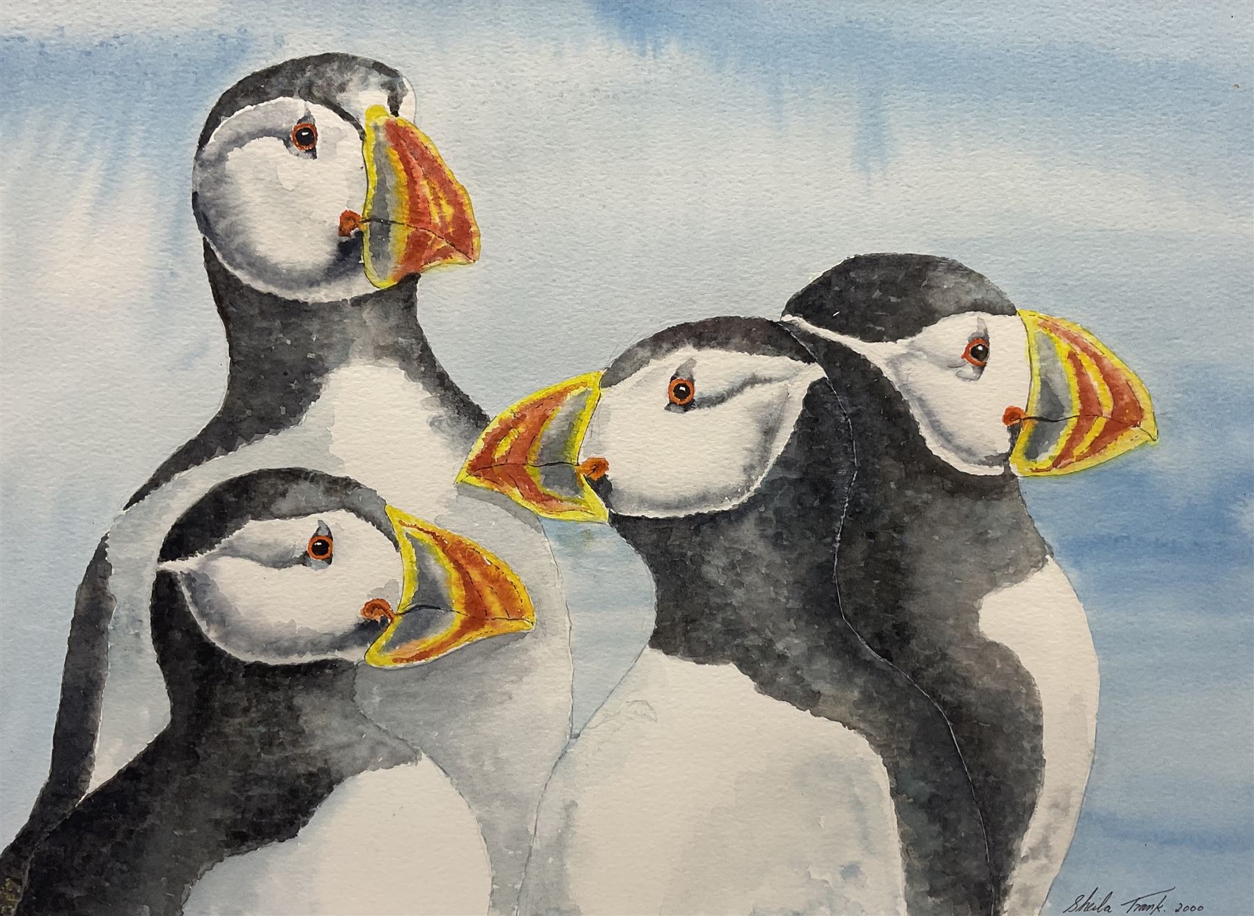 Sheila Frank (Yorkshire Contemporary): Puffins, watercolour signed and dated 2000, 28cm x 38cm 
Provenance: exh. Beverley Art Gallery, 9th December 2000 - 28th January 2001 No.21