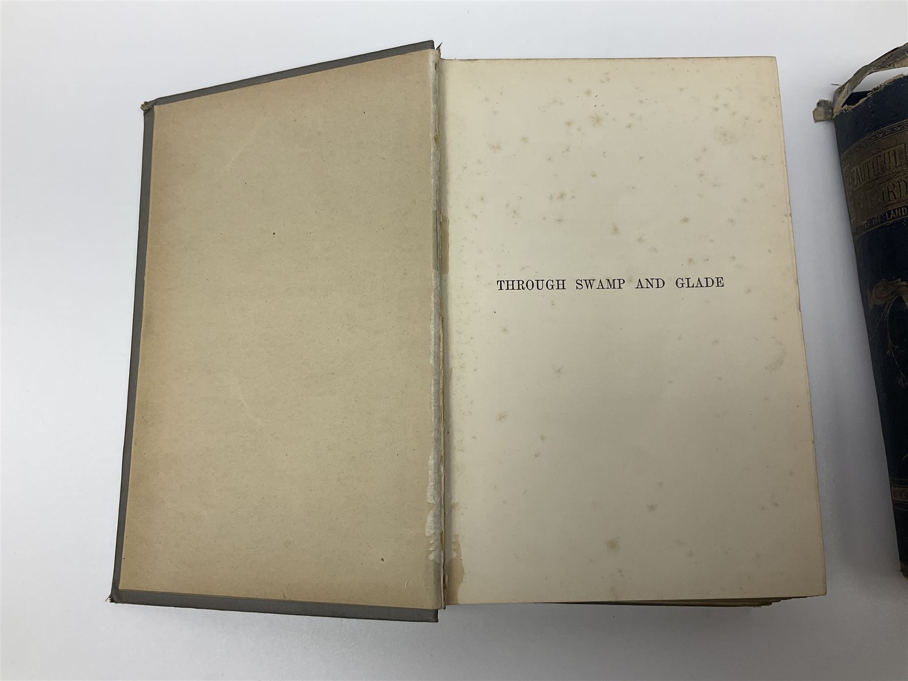 Woolf Virginia: Flush A Biography. Hogarth Press 1933 New Edition with dustjacket; Munroe Kirk: Through Swamp and Glade. 1897 First Edition; Kirby Mary & Elizabeth: Beautiful Birds in Far Off Lands. 1873. Colour plates; and two other books (5)