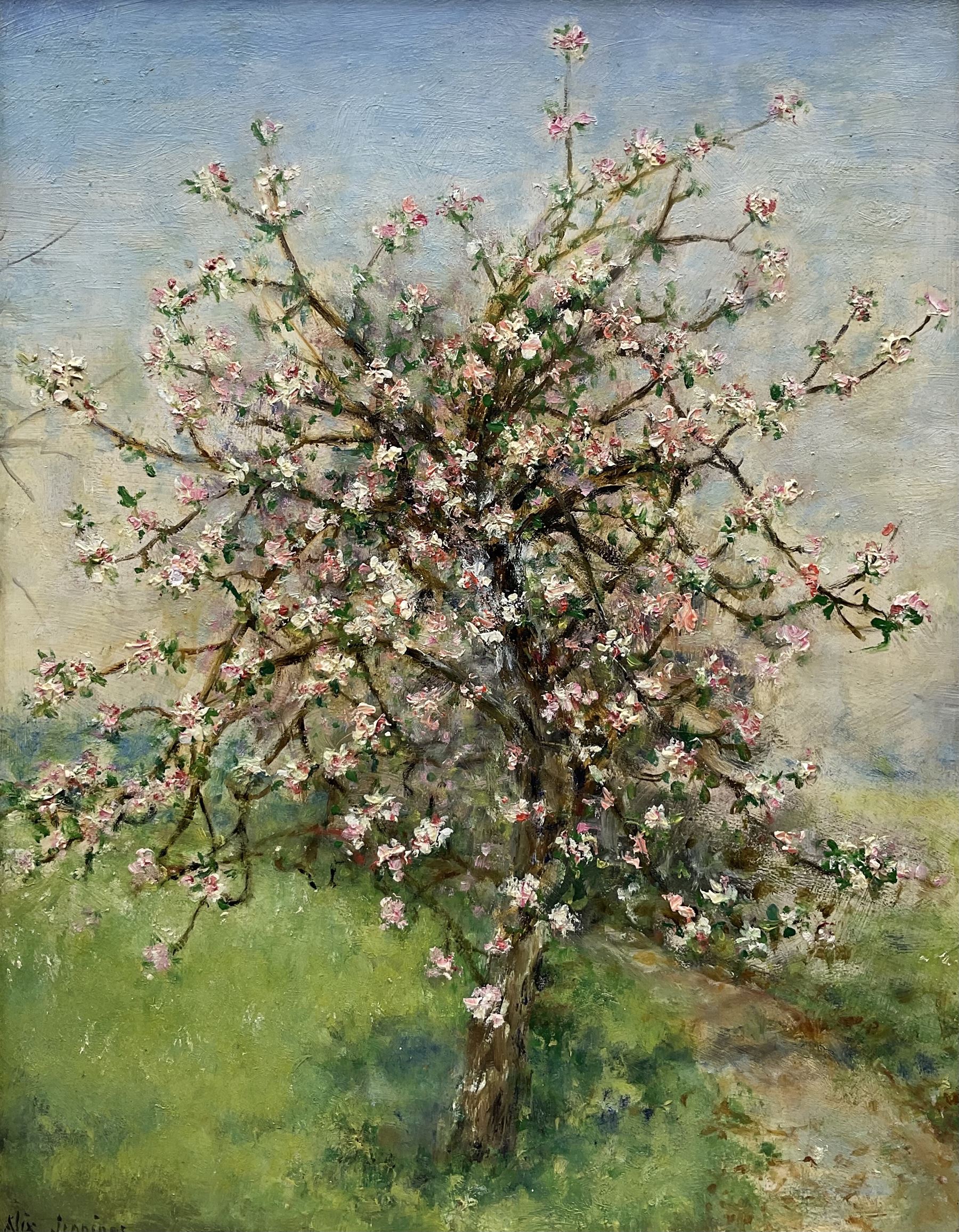 Alix Jennings (British 1884-1980): The Blossom Tree, oil on board signed 42cm x 33cm