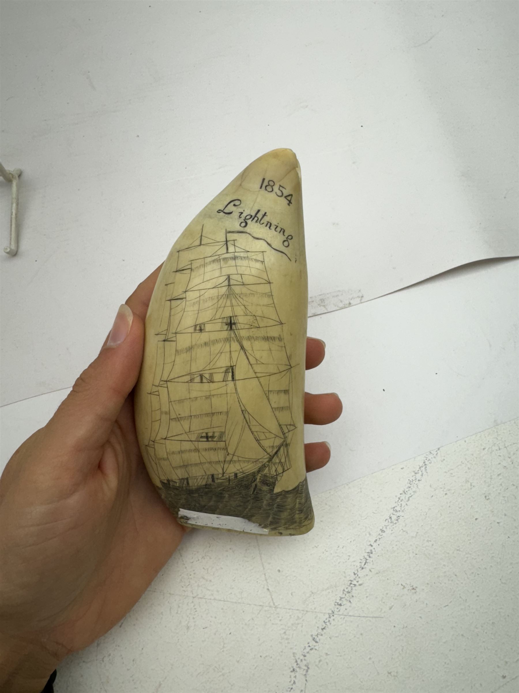 19th century scrimshaw sperm whale tooth, inscribed 1854 Lightening to one side and Red Jacket to the other with a ship at sea, H15cm 