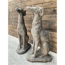 Pair of cast stone French lurchers, seated pose, on shaped plinth