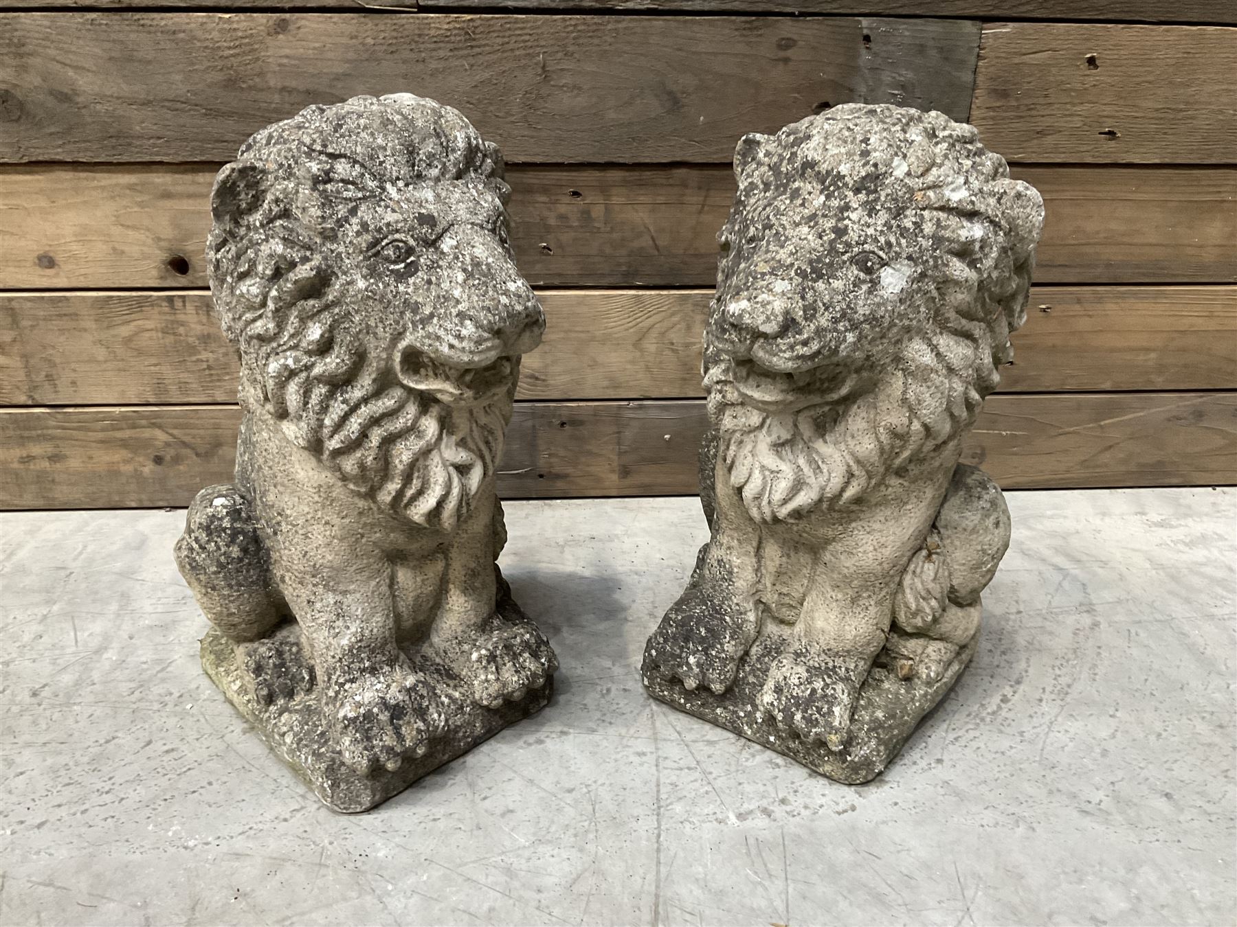 Pair of small weathered cast stone garden seated lions