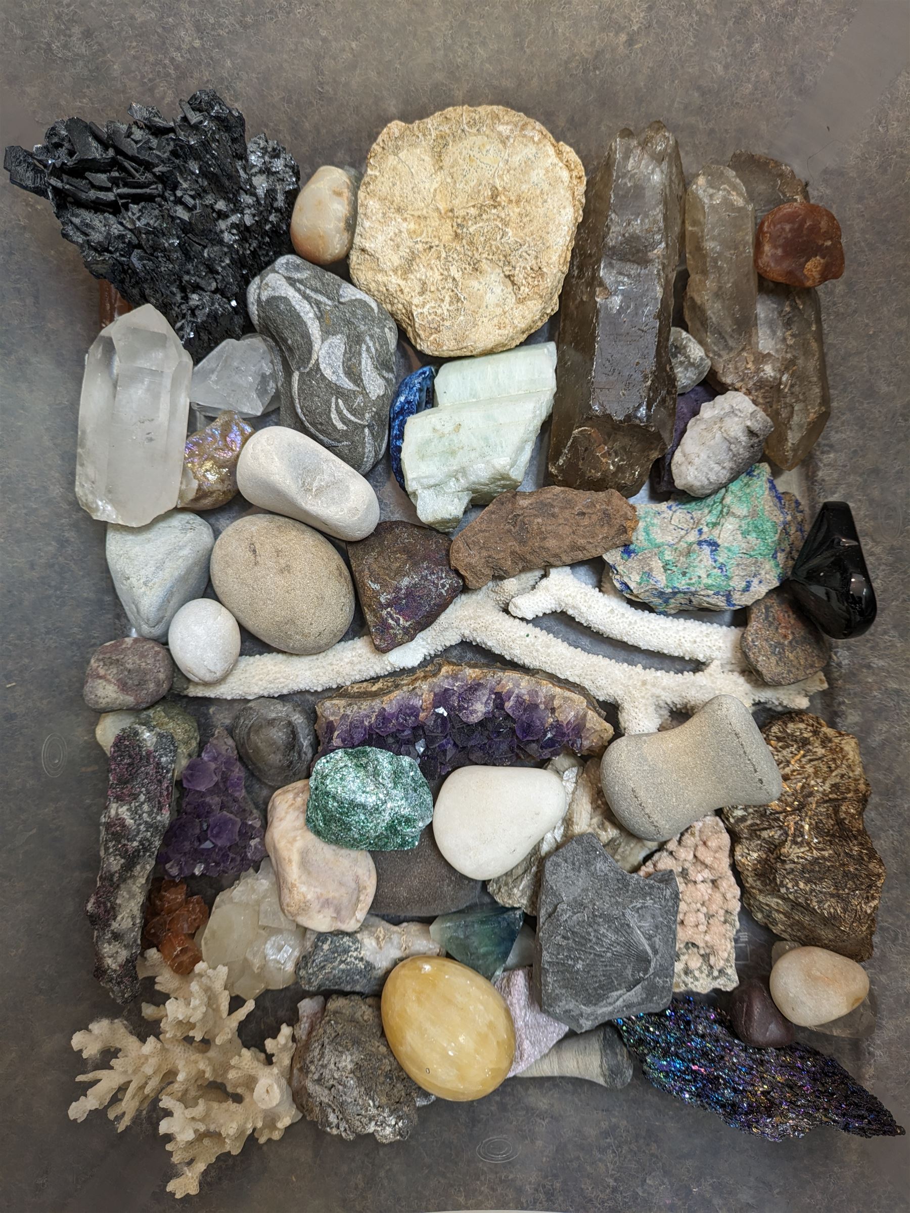 Minerals and coral, including amethyst geodes etc