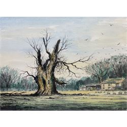 Jack Rigg (British 1927-2023): 'Old Tree near Helmsley', watercolour and ink signed and dated 1987, titled verso 29cm x 39cm