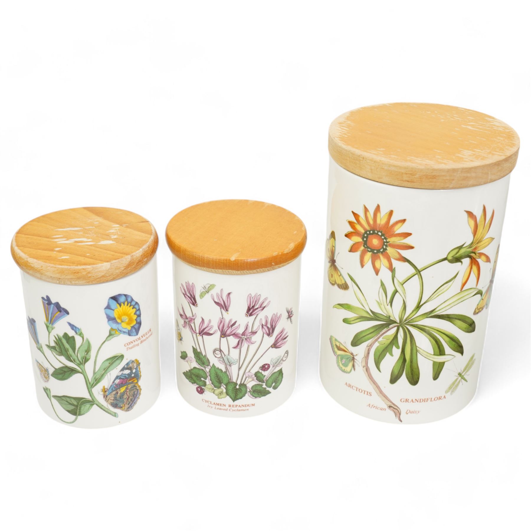 Portmeirion Botanic Garden tea, dinner and table wares to include a teapot, coffee pot, eleven mugs, rolling pin, wall clock, ten breakfast bowls, five dinner plates etc (qty)