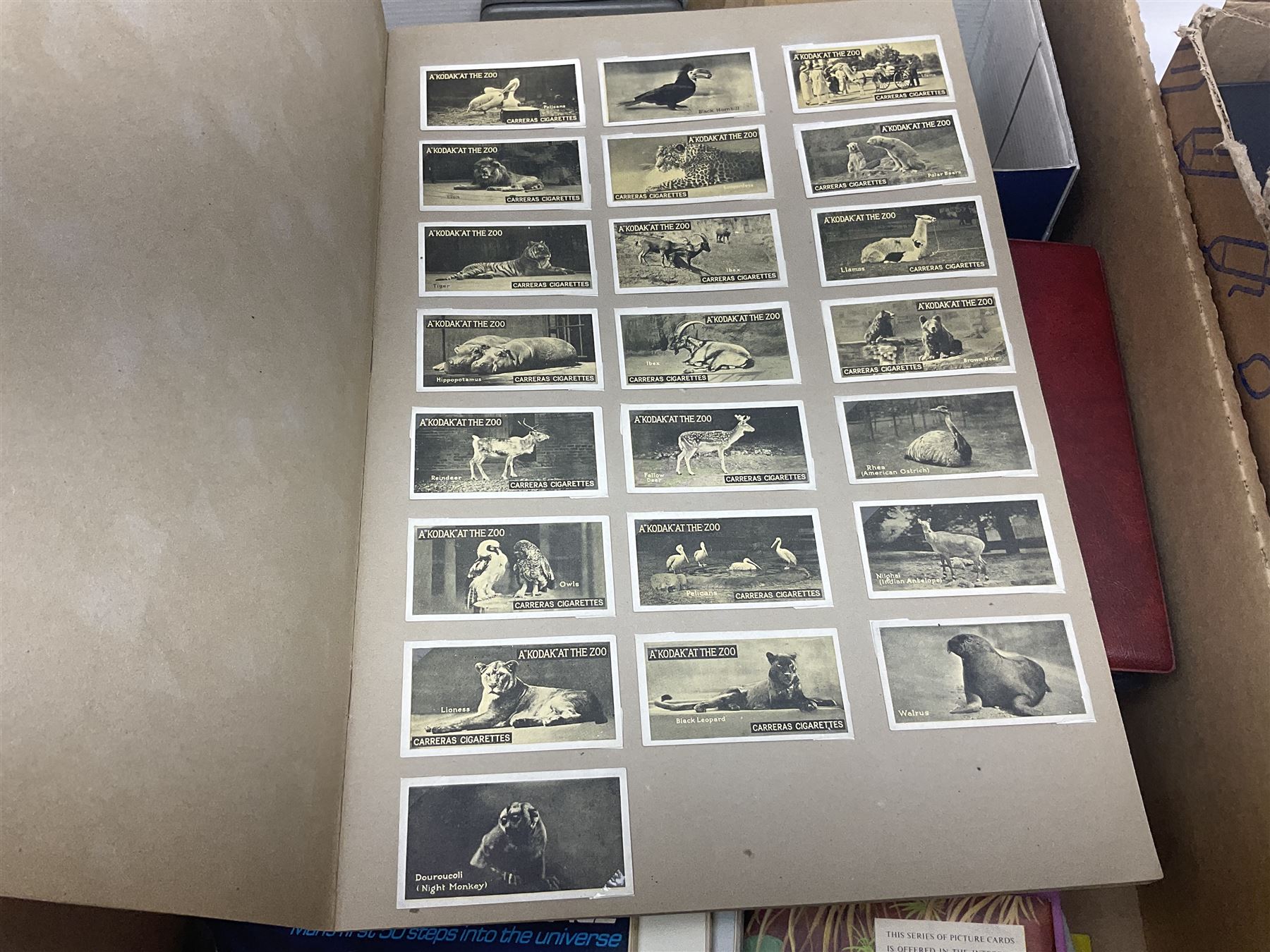 Large quantity of cigarette and tea cards, mostly in ring binders, with some loose examples, including History of Aviation, The Race into Space and Prehistoric Animals