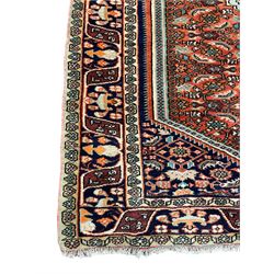 North West Persian Bidjar rug, orange peach ground extended field on indigo ground, decorated with floral Herati motifs, repeating waved border decorated with stylised plant motifs