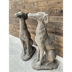 Pair of cast stone French lurchers, seated pose, on shaped plinth