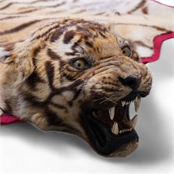 Taxidermy: Early 20th century Bengal Tiger skin rug (Panthera tigris tigris), adult female skin rug with head mount, the clawed limbs outstretched, the head with jaw agape and glass eyes, mounted upon red felt backing