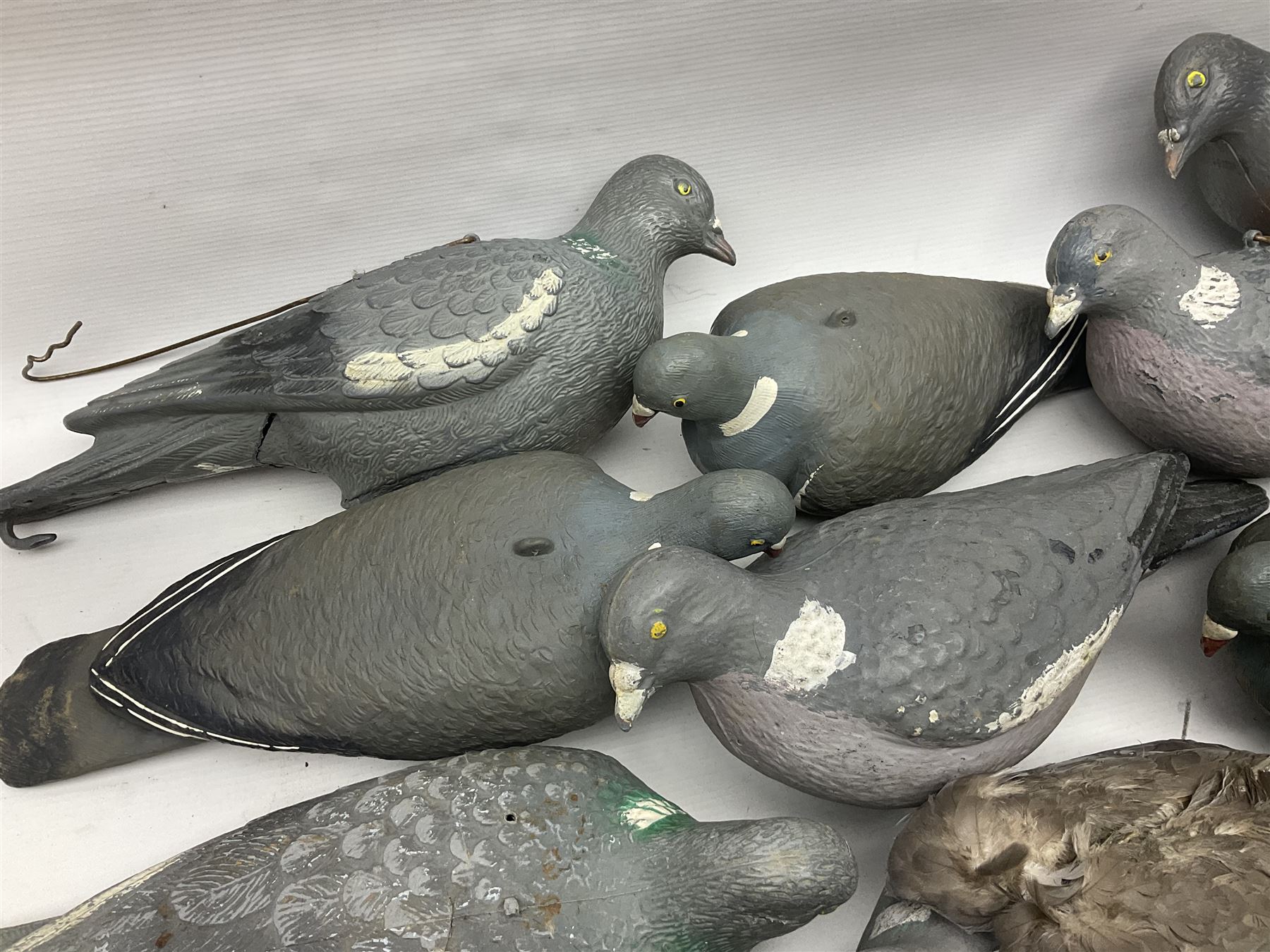 Fourteen Wood Pigeon decoys, together with camouflage netting