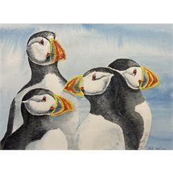 Sheila Frank (Yorkshire Contemporary): Puffins, watercolour signed and dated 2000, 28cm x 38cm 
Provenance: exh. Beverley Art Gallery, 9th December 2000 - 28th January 2001 No.21