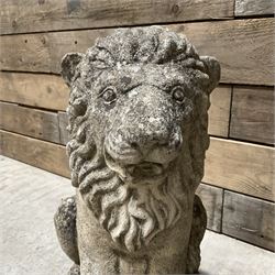 Pair of small weathered cast stone garden seated lions