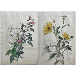 English School (19th century): Still Life of Wildflowers, pair watercolours inscribed with...