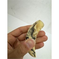 19th century scrimshaw whale tooth, depicting a hammerhead shark, L8cm